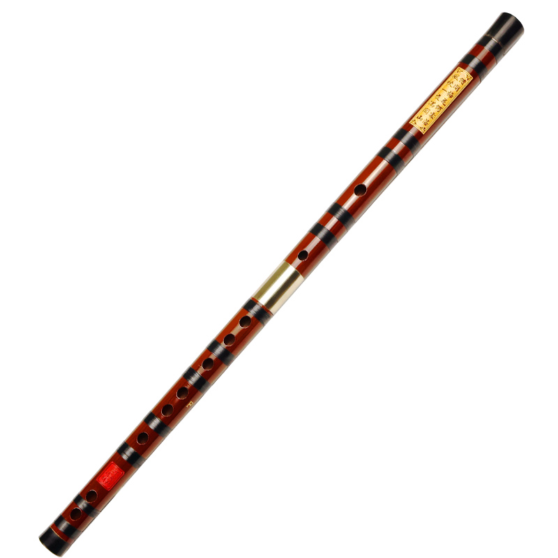 Profissional jogando flauta de - Musical Instrument Ending In A avaliação e preço