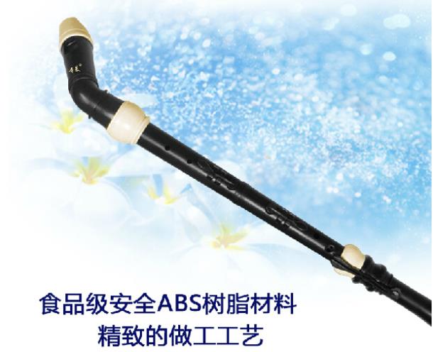 Clarinete profissional de resi - Recorder Baroque Style avaliação e preço